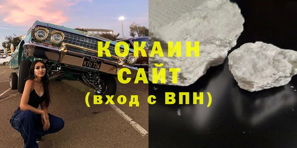 твердый Протвино