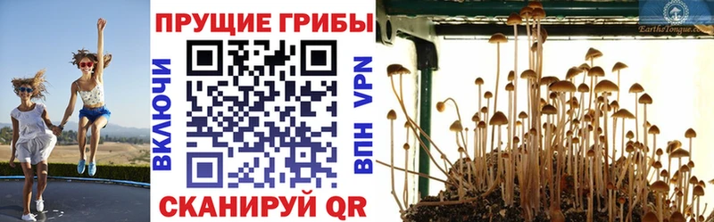 Галлюциногенные грибы MAGIC MUSHROOMS Чухлома